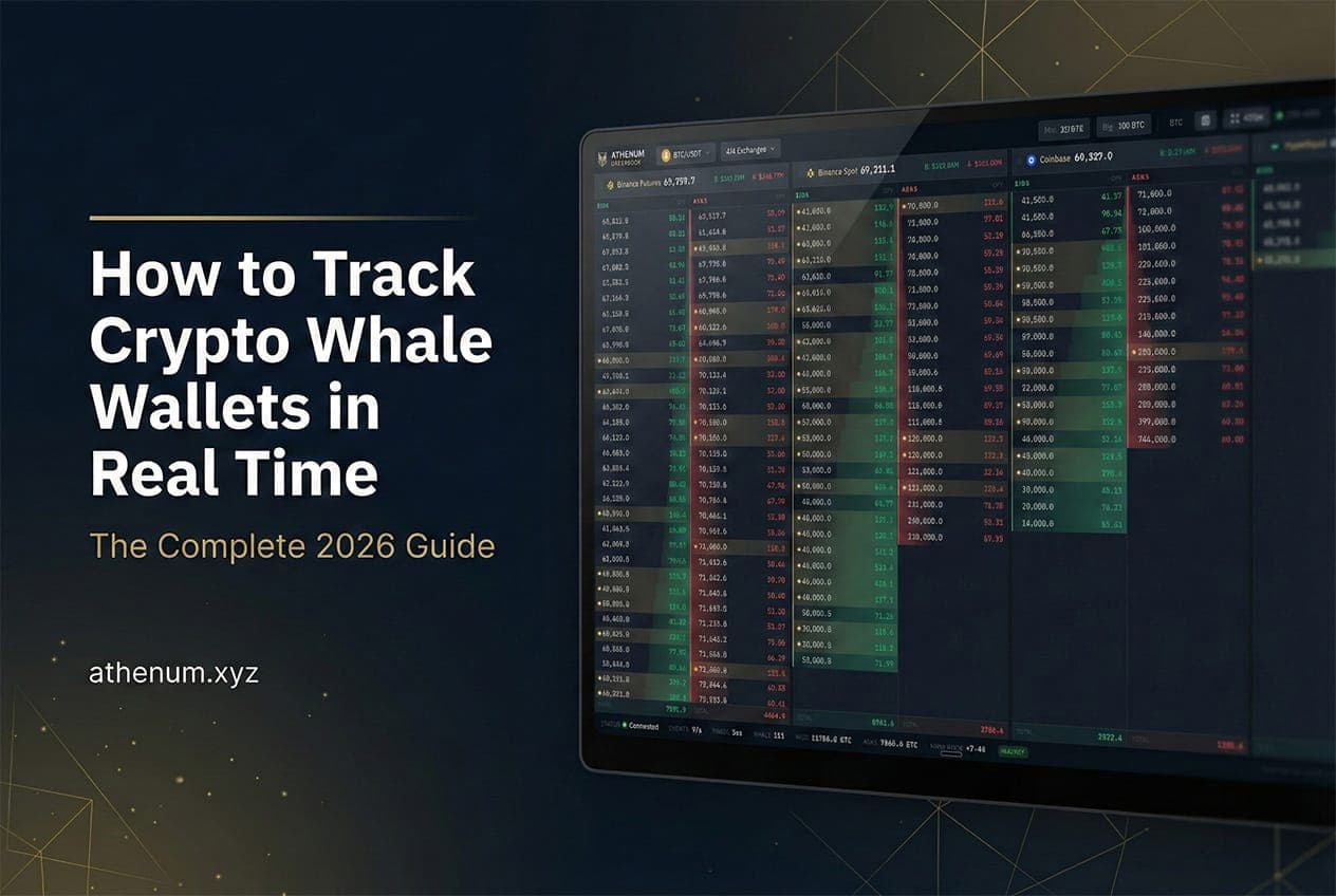 Athenum crypto whale wall tracker showing real time order book depth across four exchanges with 255 detected whale walls and 7.4 percent buy side imbalance for BTC USDT