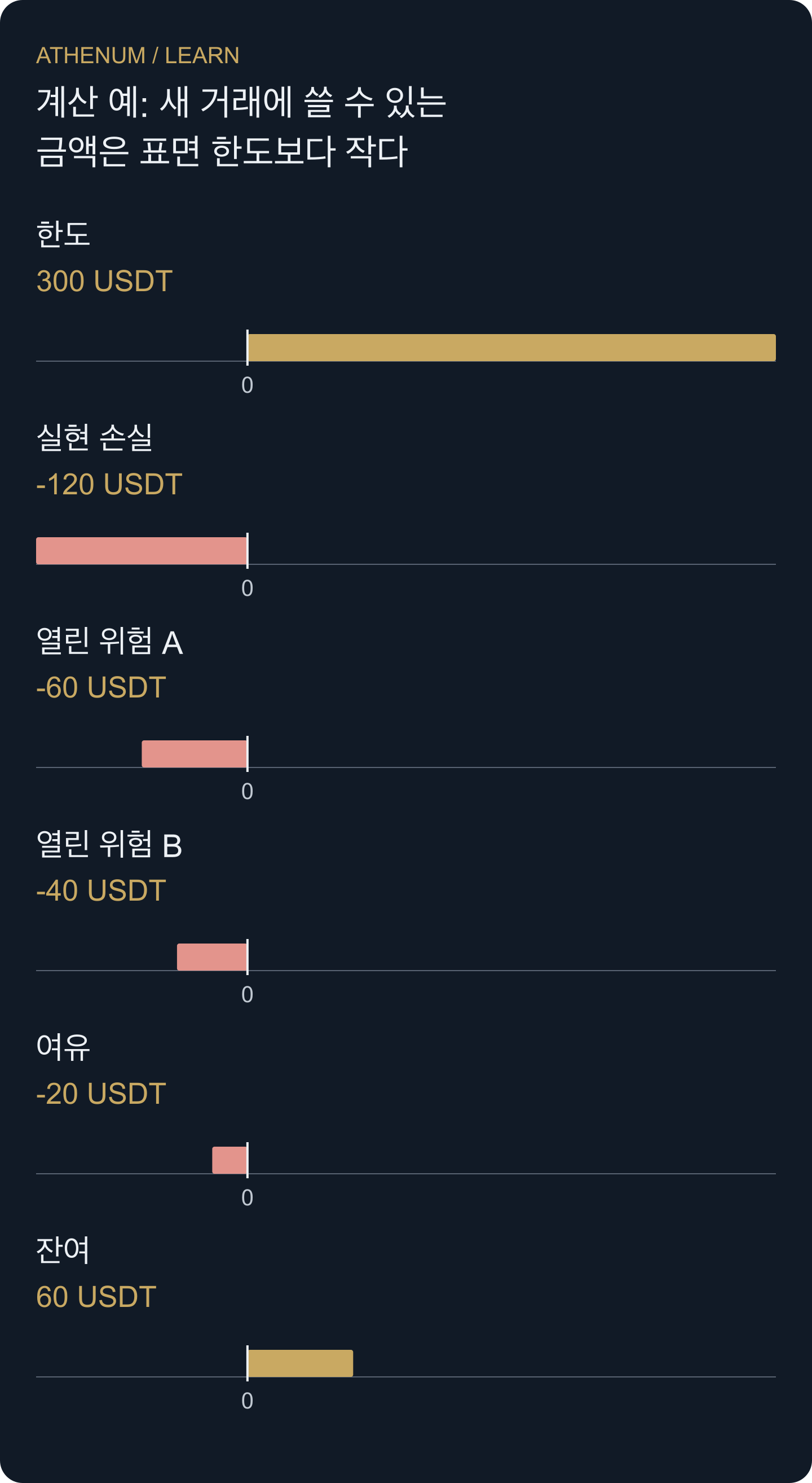 구성한 일일 위험 원장. 음수 막대는 300 예산의 배분이며 새로 관측한 시장 손실이 아니다.