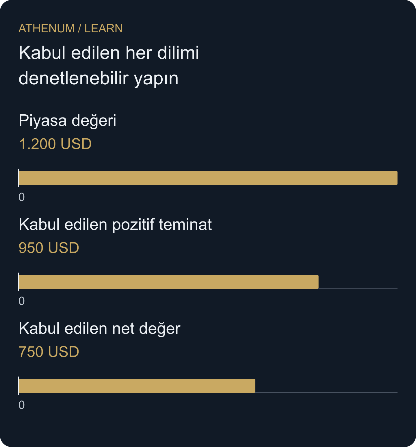 Aynı 12 Y hesabının farklı ölçüleri; çubuklar toplanmaz. Kabul edilen net değer, ayrı 200 USD borcu içerir.