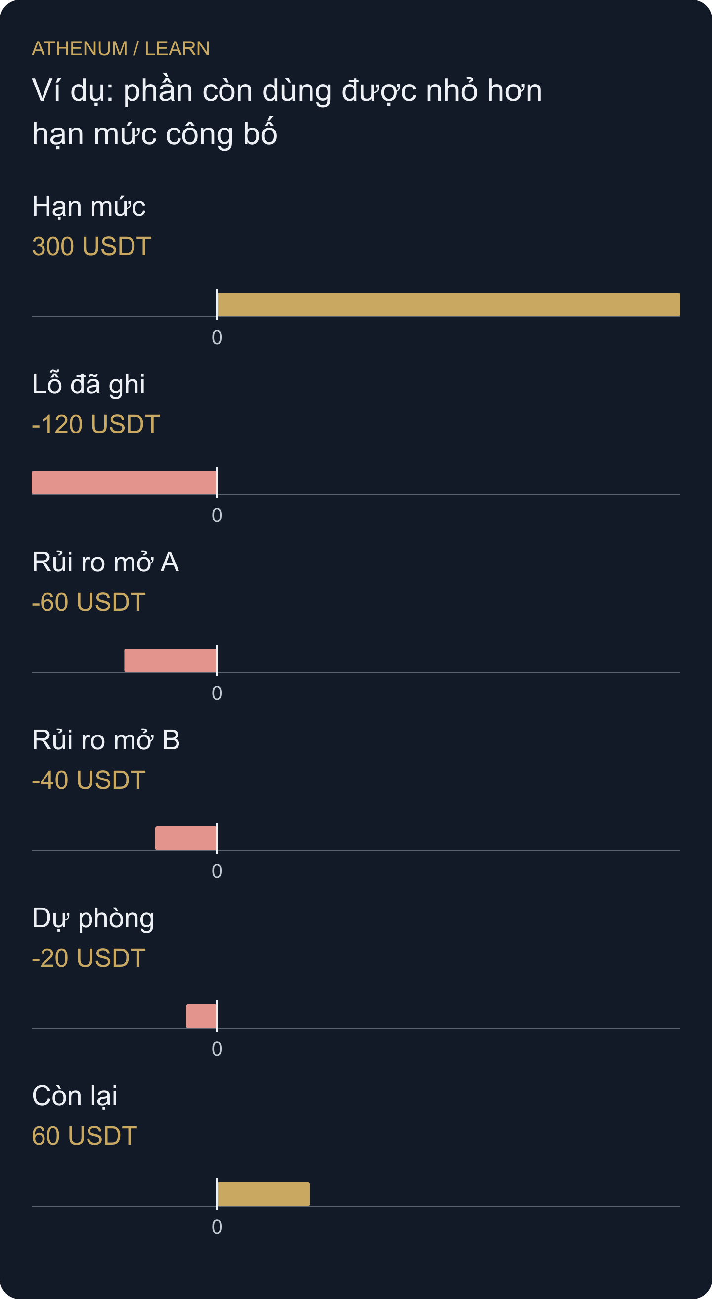 Sổ rủi ro ngày tự dựng. Cột âm là phần phân bổ từ hạn mức 300, không phải khoản lỗ thị trường mới quan sát.
